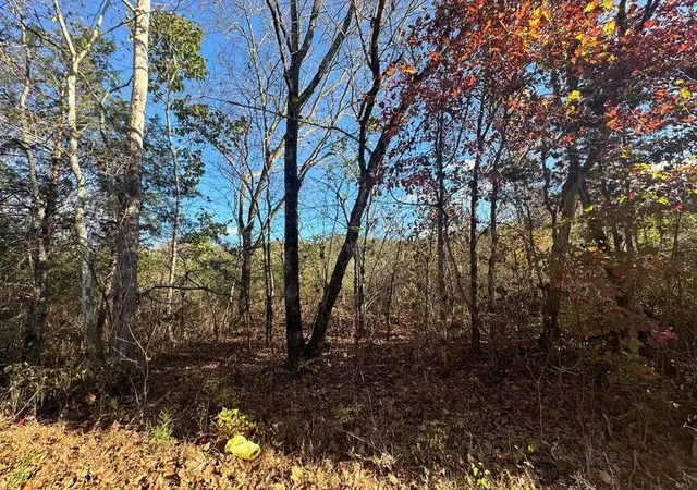 Photo 4 of Land for sale at 0 Mt Carmel Rd, Decatur, TN 37322 | MLS# 3223380 | Listing updated on 2026-10-08