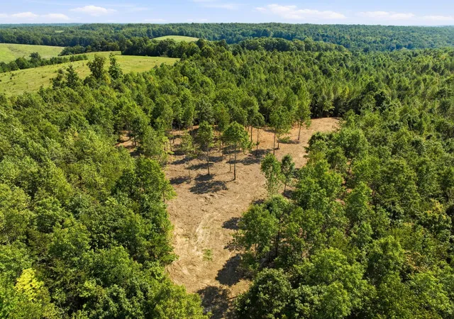 Photo 1 of Land for sale at 0 The Retreat At Paris Landing, Dover, TN 37058 | MLS# 3178925 | Listing updated on 2026-09-12