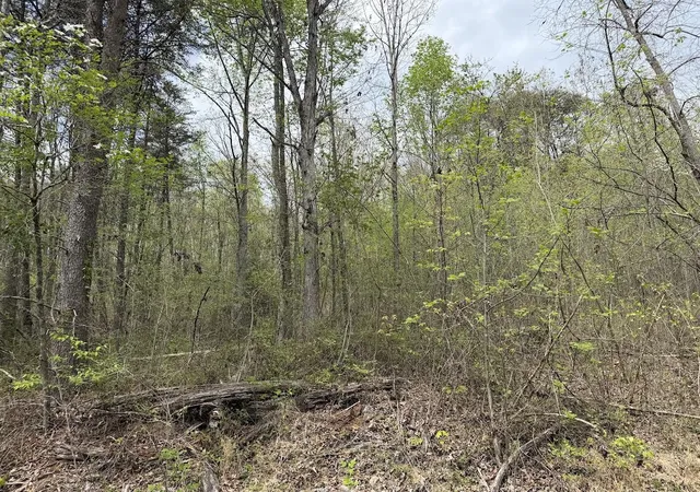 Photo 2 of Land for sale at 0 Myers Hl Rd, Tracy City, TN 37387 | MLS# 3174987 | Listing updated on 2026-09-11