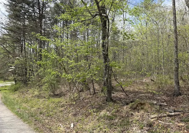 Photo 3 of Land for sale at 0 Myers Hl Rd, Tracy City, TN 37387 | MLS# 3174987 | Listing updated on 2026-09-11