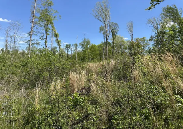 Photo 4 of Land for sale at 0 Murrell Rd, Dickson, TN 37055 | MLS# 3179159 | Listing updated on 2026-09-15