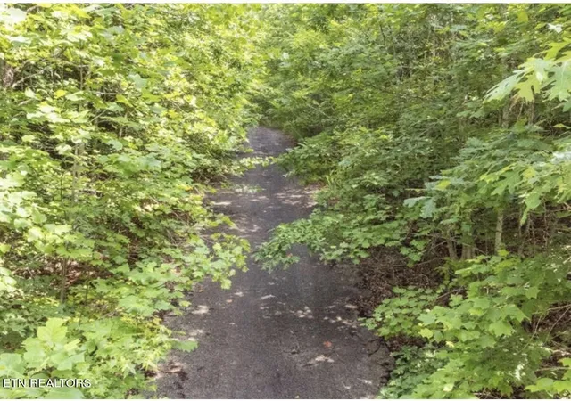 Photo 3 of Land for sale at 228 Crystal Springs Rd, Rockwood, TN 37854 | MLS# 3177918 | Listing updated on 2026-09-11