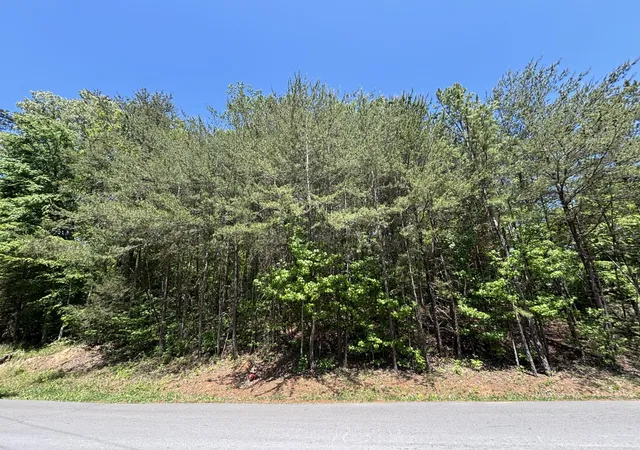 Photo 3 of Land for sale at 670 Lake View Dr, South Pittsburg, TN 37380 | MLS# 3179012 | Listing updated on 2026-09-11