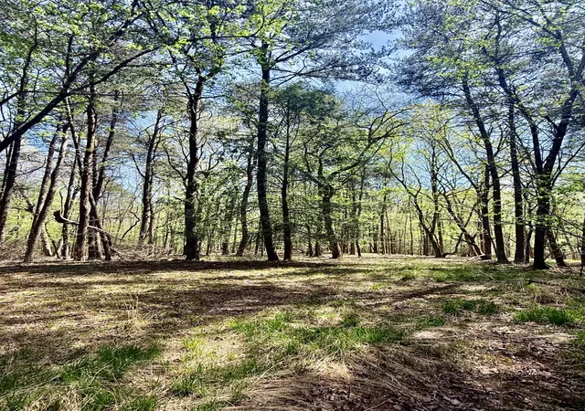 Land for sale at 0 Timberwood Tr Lot 310, Monteagle, TN 37356 | MLS# 3179315