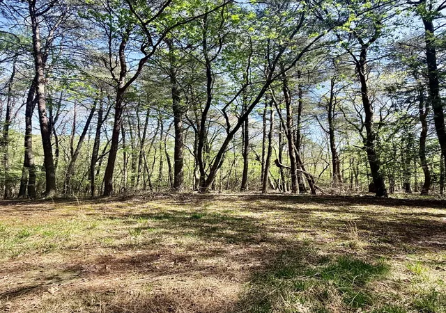 Photo 3 of Land for sale at 0 Timberwood Tr Lot 310, Monteagle, TN 37356 | MLS# 3179315 | Listing updated on 2026-09-14