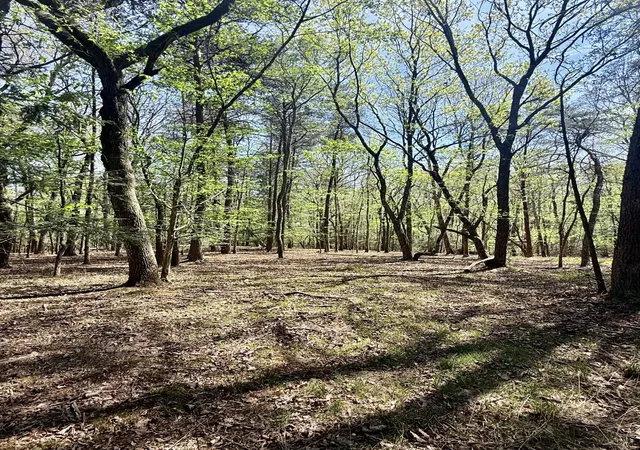 Photo 3 of Land for sale at 0 Timberwood Tr Lot 310, Monteagle, TN 37356 | MLS# 3179315 | Listing updated on 2026-09-14