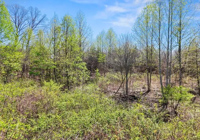 Photo 3 of Land for sale at 0 Grayson Way, Signal Mountain, TN 37377 | MLS# 3182469 | Listing updated on 2026-09-11