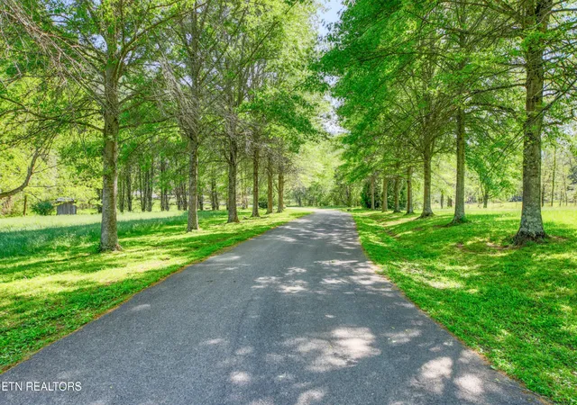 Photo 4 of Land for sale at 2122 Walden Cvs Way, Sevierville, TN 37862 | MLS# 3217284 | Listing updated on 2026-09-11