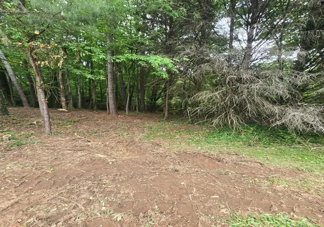 Photo 3 of Land for sale at 35 Ryman Ridge Rd, Dalton, GA 30720 | MLS# 3515479 | Listing updated on 2026-09-11