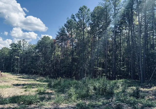 Photo 1 of Land for sale at 360 Bootleg Bnd, Guild, TN 37340 | MLS# 3182926 | Listing updated on 2026-09-14
