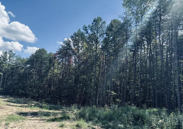 Photo 2 of Land for sale at 360 Bootleg Bnd, Guild, TN 37340 | MLS# 3182926 | Listing updated on 2026-09-14
