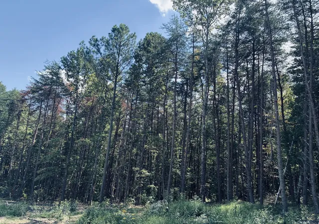 Photo 3 of Land for sale at 360 Bootleg Bnd, Guild, TN 37340 | MLS# 3182926 | Listing updated on 2026-09-14
