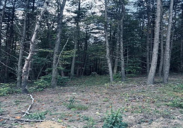 Photo 4 of Land for sale at 360 Bootleg Bnd, Guild, TN 37340 | MLS# 3182926 | Listing updated on 2026-09-14