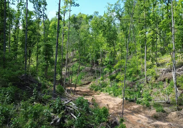 Photo 3 of Land for sale at 535 Highwater Rd, Waverly, TN 37185 | MLS# 3182988 | Listing updated on 2026-09-15