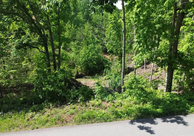 Photo 3 of Land for sale at 535 Highwater Rd, Waverly, TN 37185 | MLS# 3182988 | Listing updated on 2026-09-15