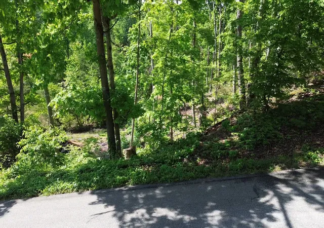 Photo 4 of Land for sale at 535 Highwater Rd, Waverly, TN 37185 | MLS# 3182988 | Listing updated on 2026-09-15