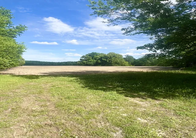 Photo 1 of Land for sale at 0 Independence Loop, Lexington, TN 38351 | MLS# 3183608 | Listing updated on 2026-09-11