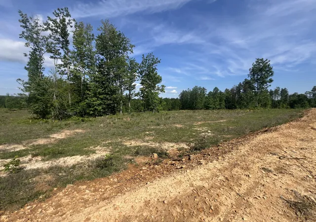Photo 1 of Land for sale at 27 Pafford Ln, Erin, TN 37061 | MLS# 3189775 | Listing updated on 2026-09-10