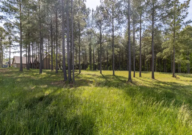 Photo 1 of Land for sale at 1600 Raulston Fls Rd, Jasper, TN 37347 | MLS# 3262607 | Listing updated on 2026-09-11