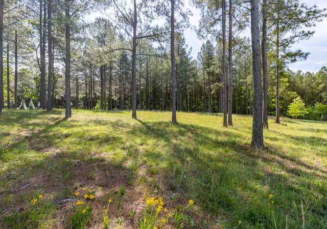 Photo 2 of Land for sale at 1600 Raulston Fls Rd, Jasper, TN 37347 | MLS# 3262607 | Listing updated on 2026-09-11