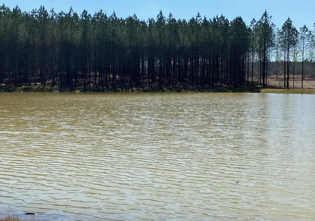 Photo 2 of Land for sale at 255 Waterwheel Way, Jasper, TN 37347 | MLS# 3186467 | Listing updated on 2026-09-11