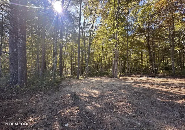 Photo 1 of Land for sale at 186 Cave Branch Rd, Allardt, TN 38504 | MLS# 3189470 | Listing updated on 2026-09-11