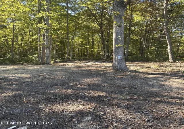 Photo 2 of Land for sale at 186 Cave Branch Rd, Allardt, TN 38504 | MLS# 3189470 | Listing updated on 2026-09-11
