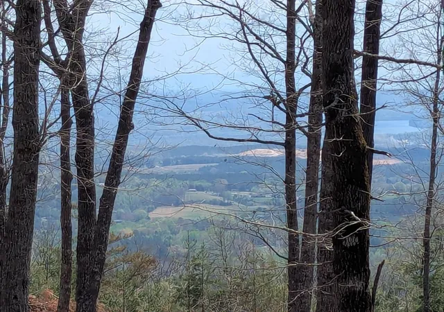 Photo 1 of Land for sale at 17 Duckwood Ln, Evensville, TN 37332 | MLS# 3213828 | Listing updated on 2026-09-11