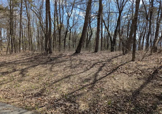 Photo 3 of Land for sale at 17 Duckwood Ln, Evensville, TN 37332 | MLS# 3213828 | Listing updated on 2026-09-11