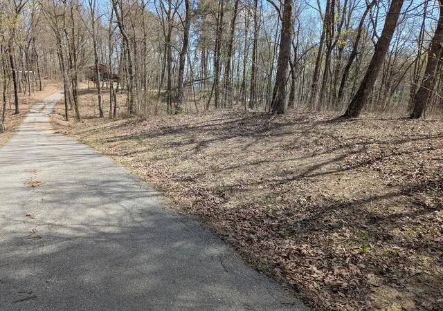 Photo 3 of Land for sale at 17 Duckwood Ln, Evensville, TN 37332 | MLS# 3213828 | Listing updated on 2026-09-11