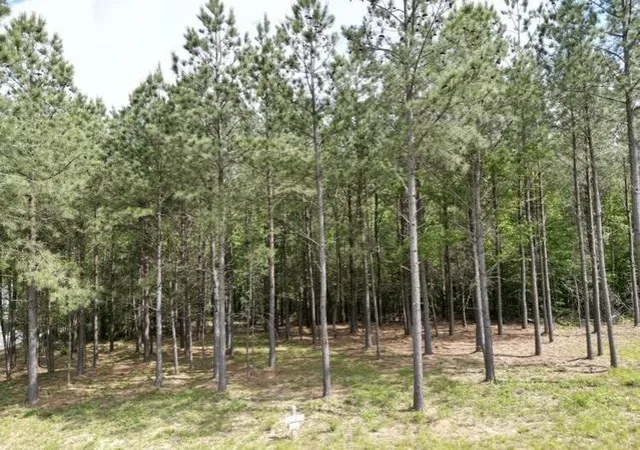 Photo 3 of Land for sale at 5140 Crockett, Jasper, TN 37347 | MLS# 3190232 | Listing updated on 2026-09-11