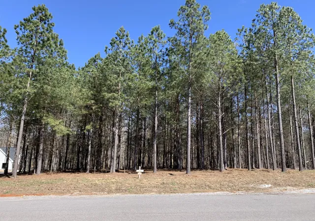 Photo 4 of Land for sale at 5140 Crockett, Jasper, TN 37347 | MLS# 3190232 | Listing updated on 2026-09-11