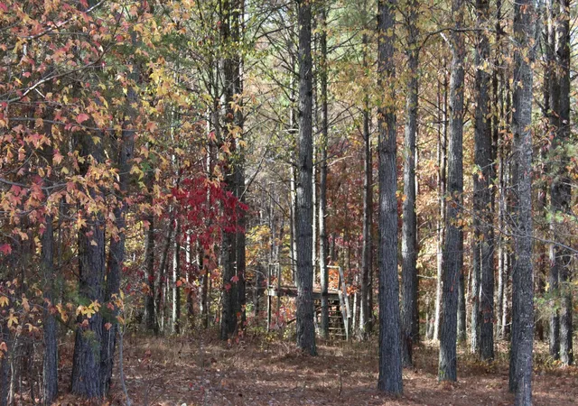 Photo 1 of Land for sale at 465 Compass Dr, Jasper, TN 37347 | MLS# 3193849 | Listing updated on 2026-09-11