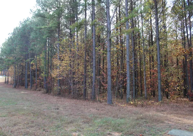 Photo 4 of Land for sale at 465 Compass Dr, Jasper, TN 37347 | MLS# 3193849 | Listing updated on 2026-09-11