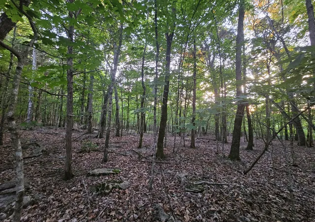 Photo 1 of Land for sale at 3 Sewanee Summit Rd, Decherd, TN 37324 | MLS# 3201795 | Listing updated on 2026-09-10