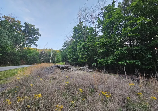 Photo 2 of Land for sale at 3 Sewanee Summit Rd, Decherd, TN 37324 | MLS# 3201795 | Listing updated on 2026-09-10