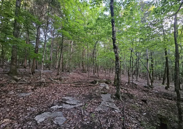 Photo 3 of Land for sale at 3 Sewanee Summit Rd, Decherd, TN 37324 | MLS# 3201795 | Listing updated on 2026-09-10