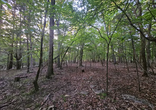 Photo 4 of Land for sale at 3 Sewanee Summit Rd, Decherd, TN 37324 | MLS# 3201795 | Listing updated on 2026-09-10