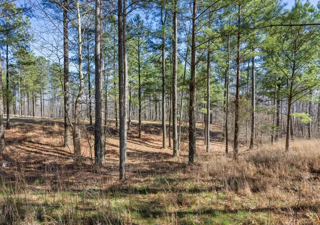 Photo 3 of Land for sale at 0 Prospectors Way, Jasper, TN 37347 | MLS# 3208423 | Listing updated on 2026-09-11
