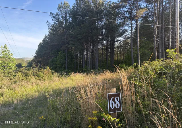 Photo 2 of Land for sale at 68 Black Bear Ln, Sunbright, TN 37872 | MLS# 3210944 | Listing updated on 2026-09-11