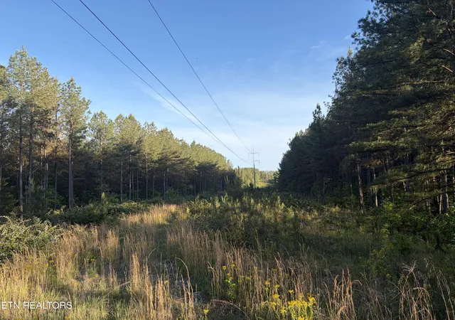 Photo 3 of Land for sale at 68 Black Bear Ln, Sunbright, TN 37872 | MLS# 3210944 | Listing updated on 2026-09-11