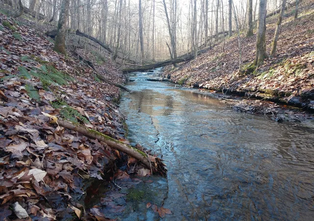 Photo 3 of Land for sale at 0 Gibbs Rd, Ashland City, TN 37015 | MLS# 3218298 | Listing updated on 2026-09-15