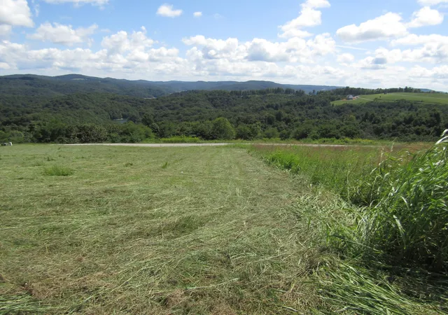 Photo 4 of Sale Pending at 48 Swan Ridge Rd E, Hilham, TN 38568 | MLS# 3211680 | Listing updated on 2026-09-15