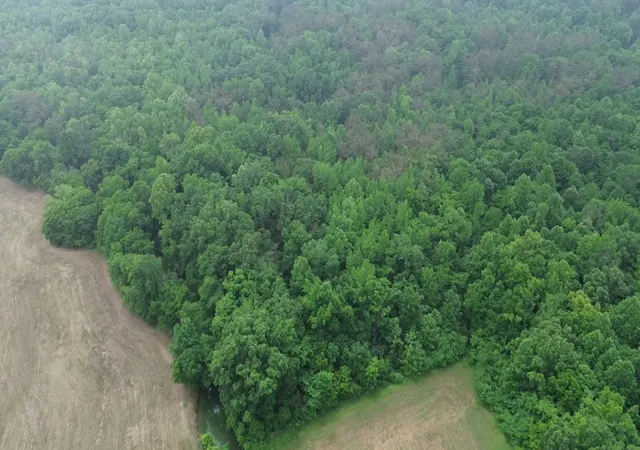Photo 2 of Land for sale at 510 Lost Crk Farm Dr, Decaturville, TN 38329 | MLS# 3218033 | Listing updated on 2026-09-14