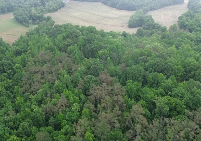 Photo 3 of Land for sale at 510 Lost Crk Farm Dr, Decaturville, TN 38329 | MLS# 3218033 | Listing updated on 2026-09-14