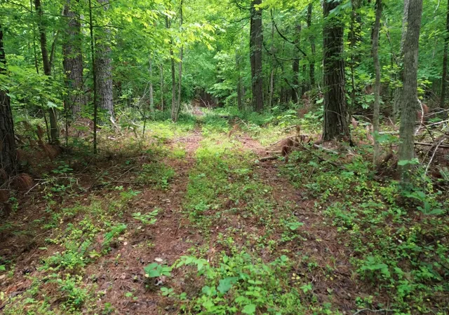 Photo 3 of Land for sale at 510 Lost Crk Farm Dr, Decaturville, TN 38329 | MLS# 3218033 | Listing updated on 2026-09-14
