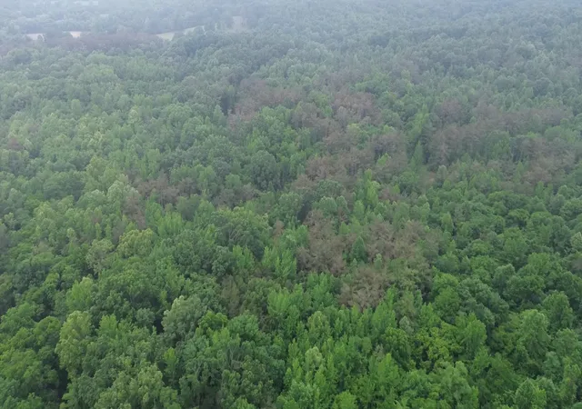 Photo 4 of Land for sale at 510 Lost Crk Farm Dr, Decaturville, TN 38329 | MLS# 3218033 | Listing updated on 2026-09-14
