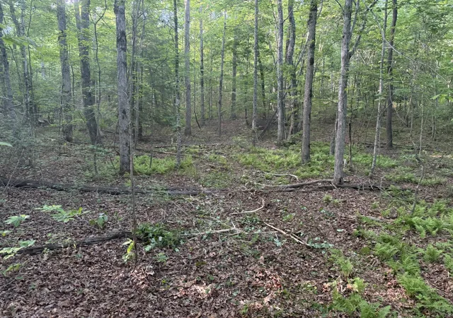 Photo 1 of Land for sale at 1672 Besstown Rd, Beersheba Springs, TN 37305 | MLS# 3218323 | Listing updated on 2026-10-06