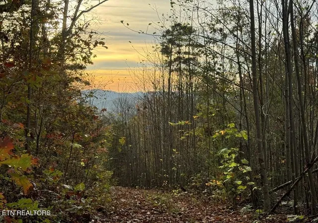 Photo 2 of Land for sale at 0 Three Point Tract 3 Rd, Vonore, TN 37885 | MLS# 3541984 | Listing updated on 2026-09-11