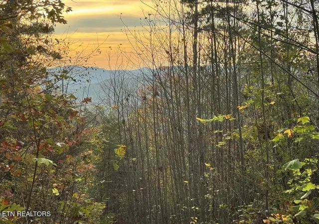 Photo 3 of Land for sale at 0 Three Point Tract 3 Rd, Vonore, TN 37885 | MLS# 3541984 | Listing updated on 2026-09-11